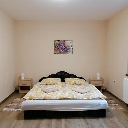 Guest house Carolina Vendeghaz Izmeny